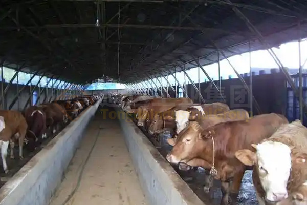 年產(chǎn)5萬噸牛糞有機(jī)肥生產(chǎn)線