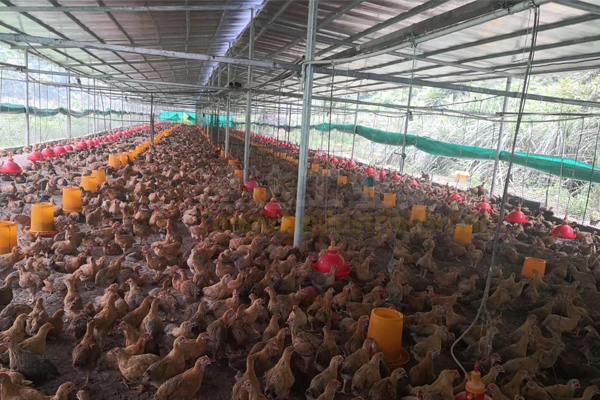 養殖戶年產一萬噸有機肥生產線需多少錢